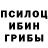 Псилоцибиновые грибы GOLDEN TEACHER DarkLordEl